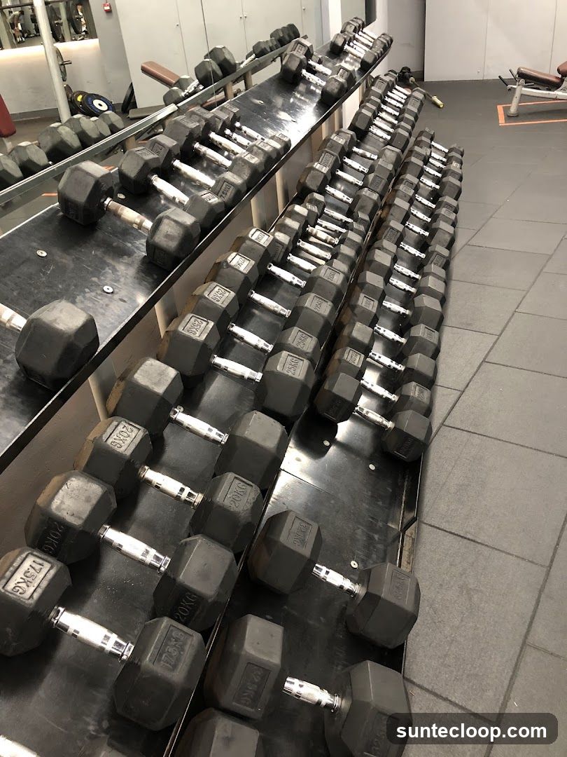 Dumbbell Rack