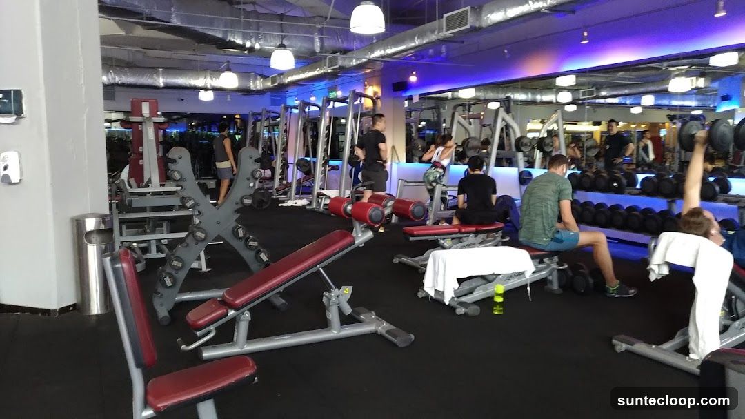 Gym Interior with Weightlifting Equipment
