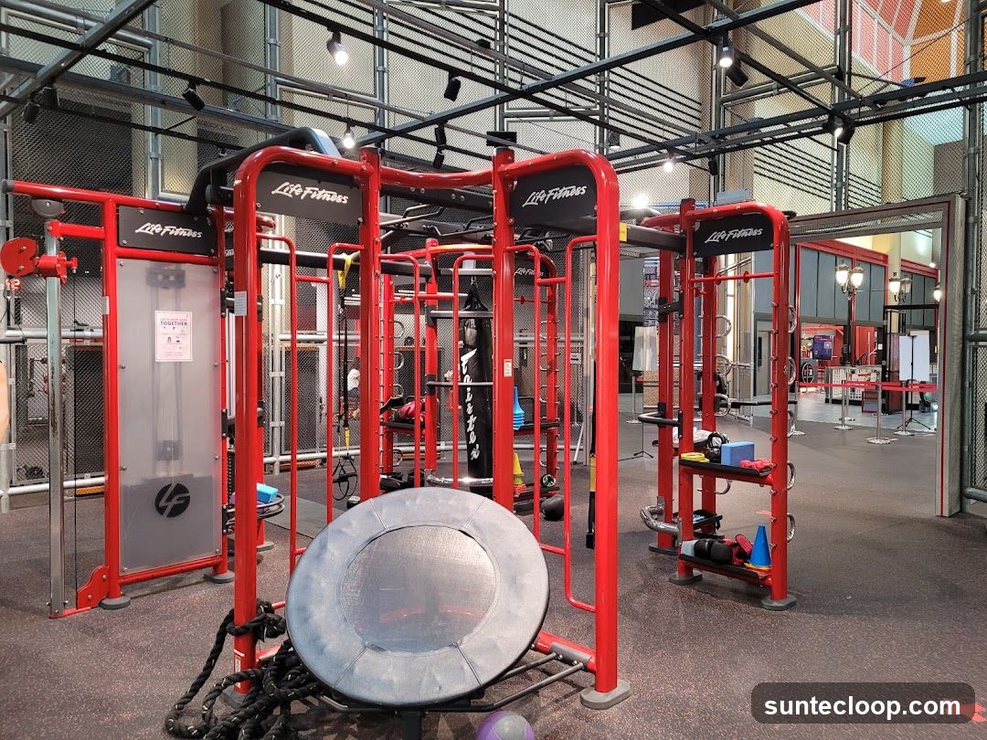Gym Equipment