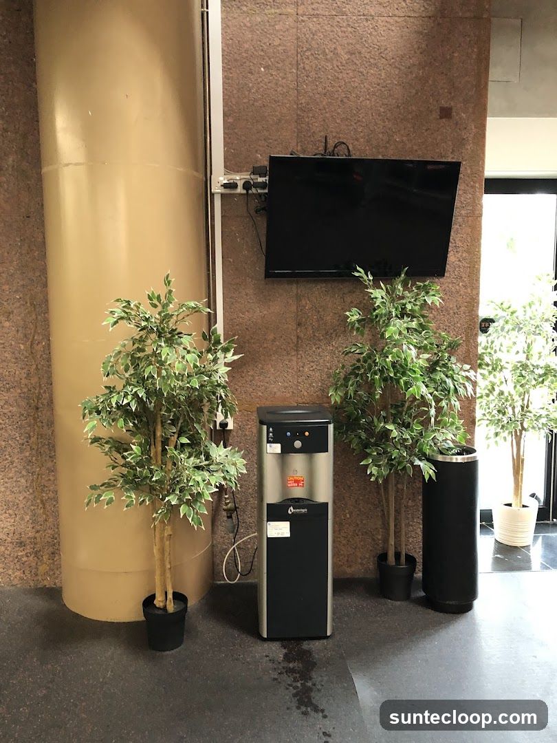Water cooler and plants