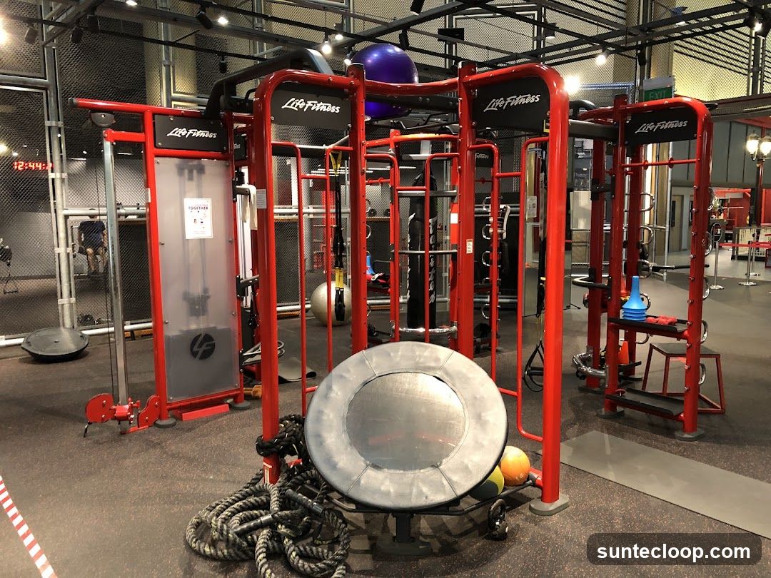 Gym Equipment