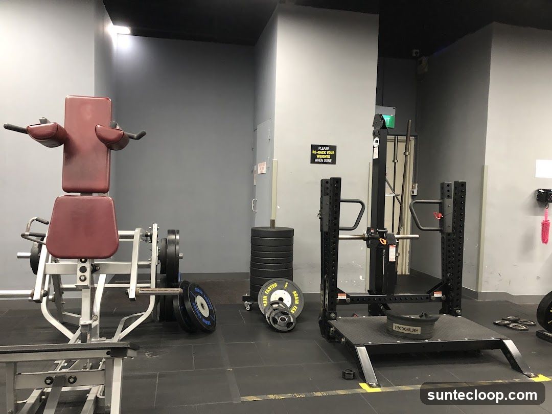 Gym Equipment