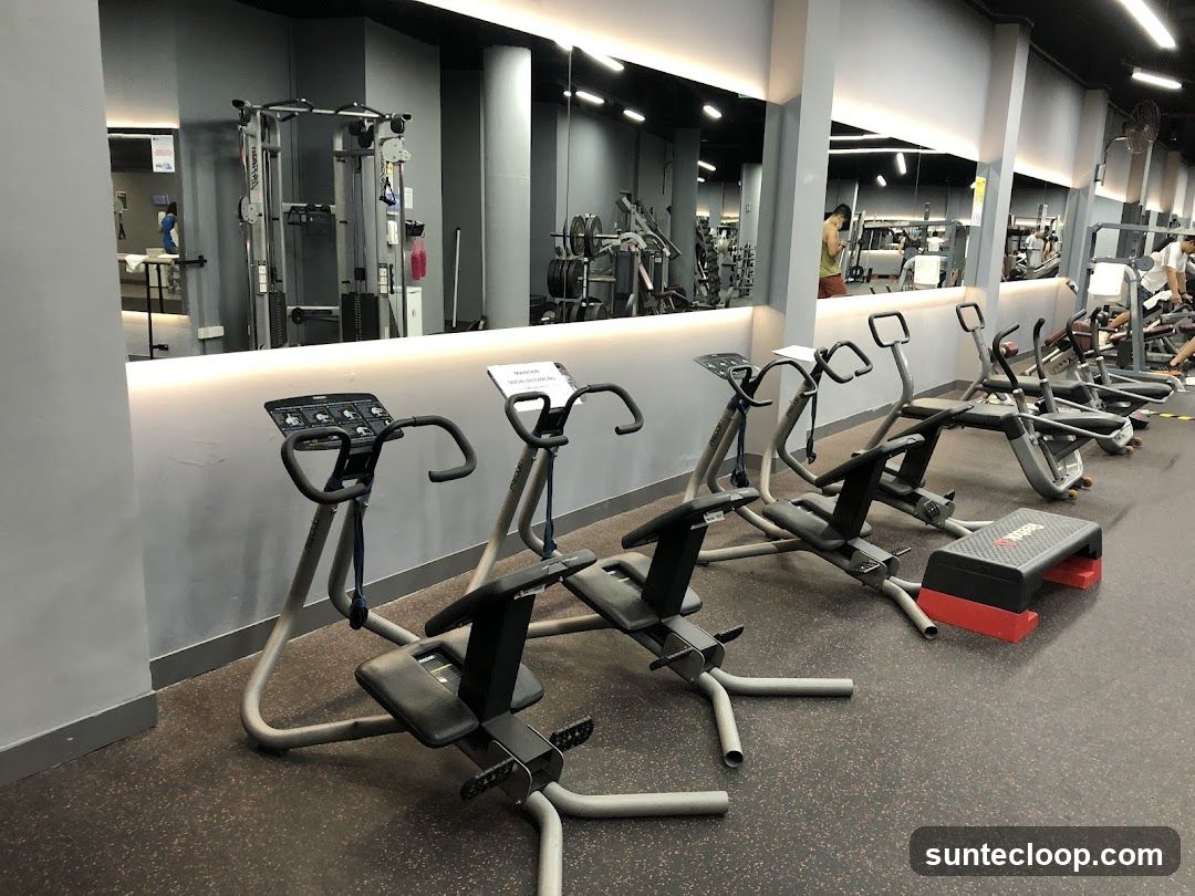 Gym Equipment