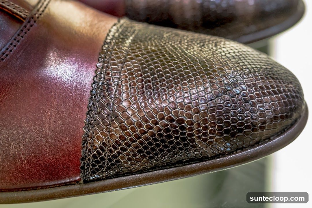 Close-up of a shoe toe box