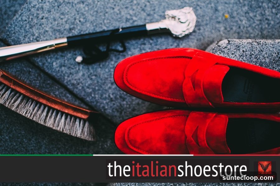 Red Loafers with Shoe Care Accessories