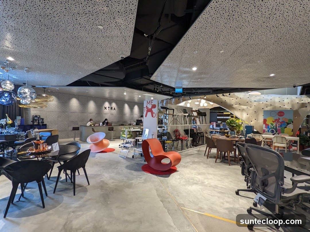Modern Furniture Showroom