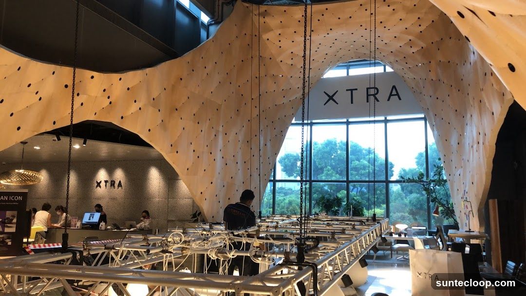 Interior of a modern space with climbing wall design
