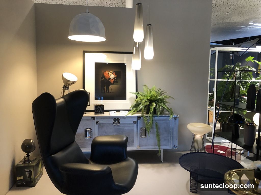 Modern Living Room Display