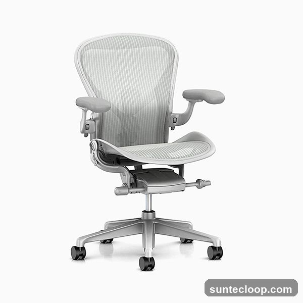 Ergonomic Office Chair