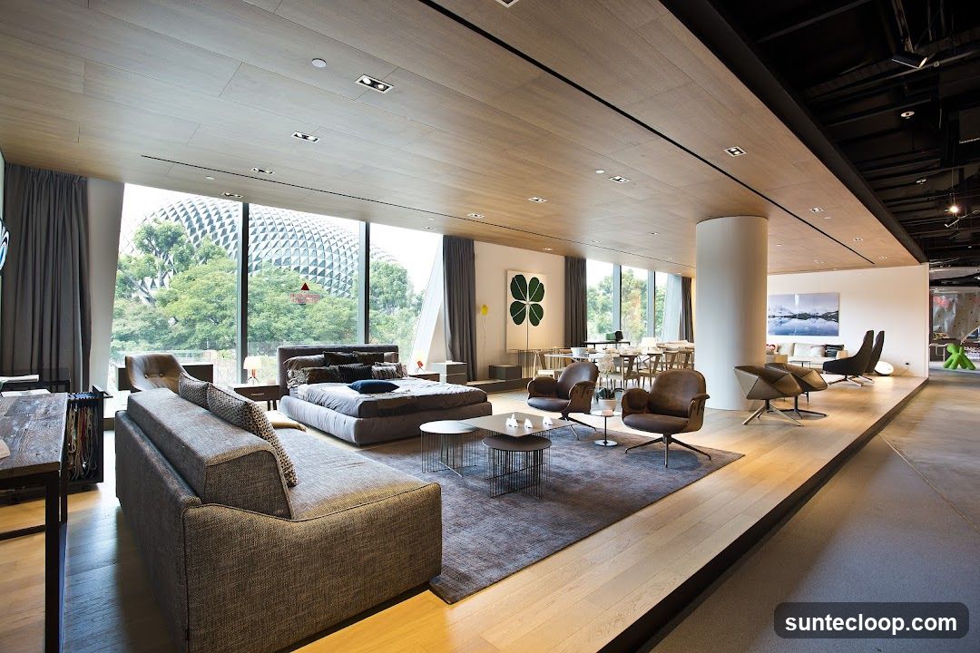 Modern Living Space Display