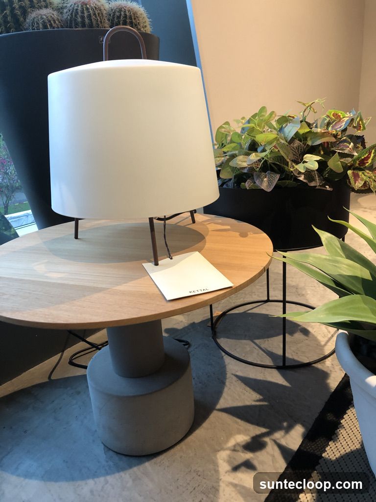 Modern Lamp on Table with Plants