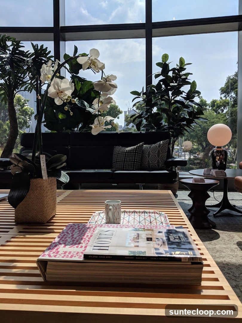 Interior seating area with plants and magazines