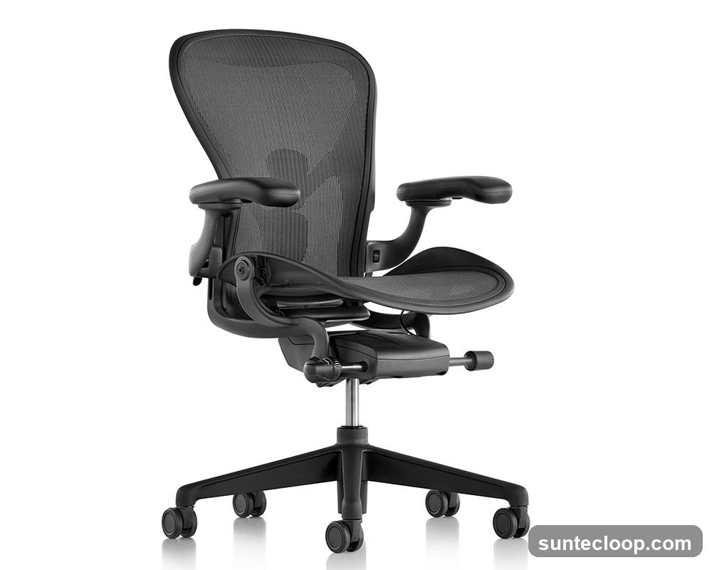 Ergonomic Office Chair