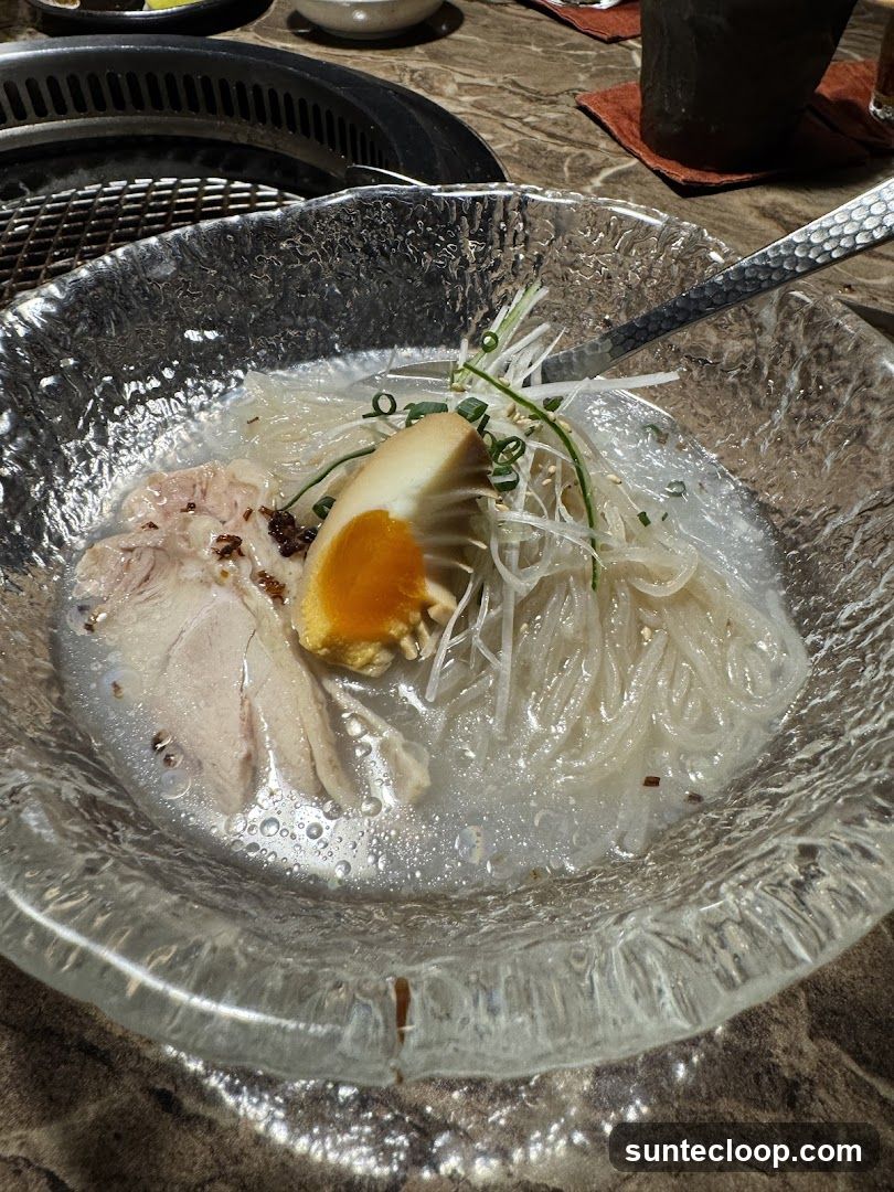 Cold Noodle Soup