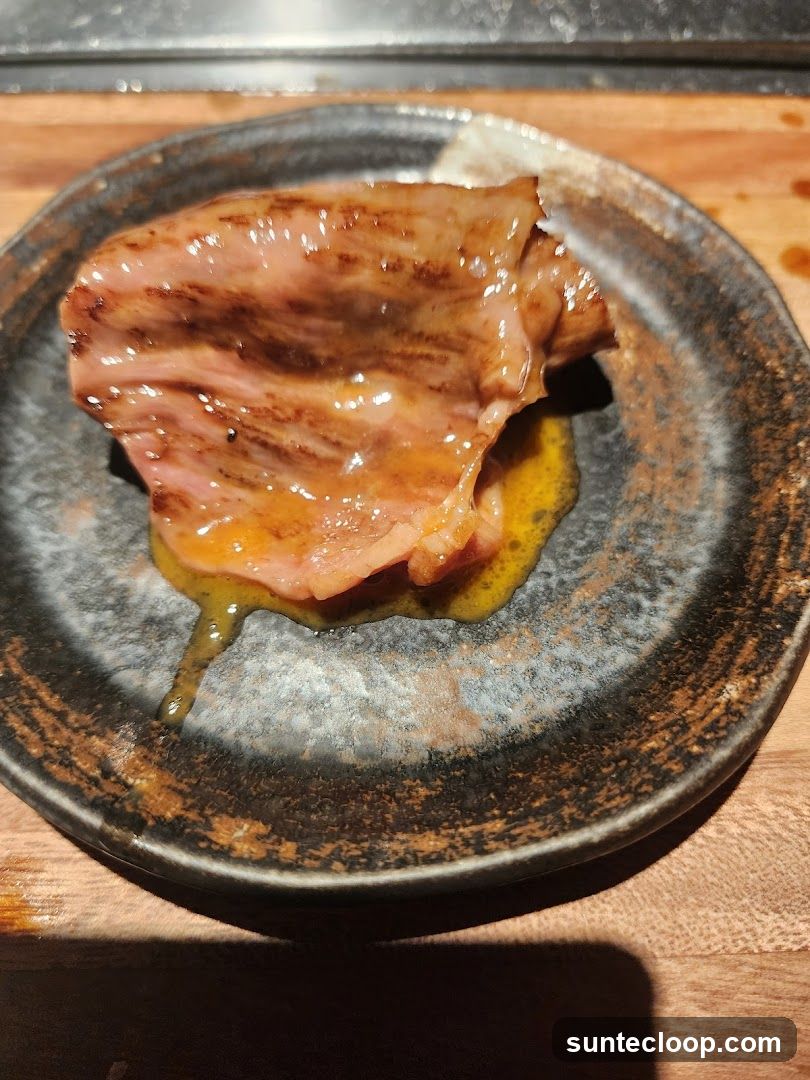 Grilled Meat Slice