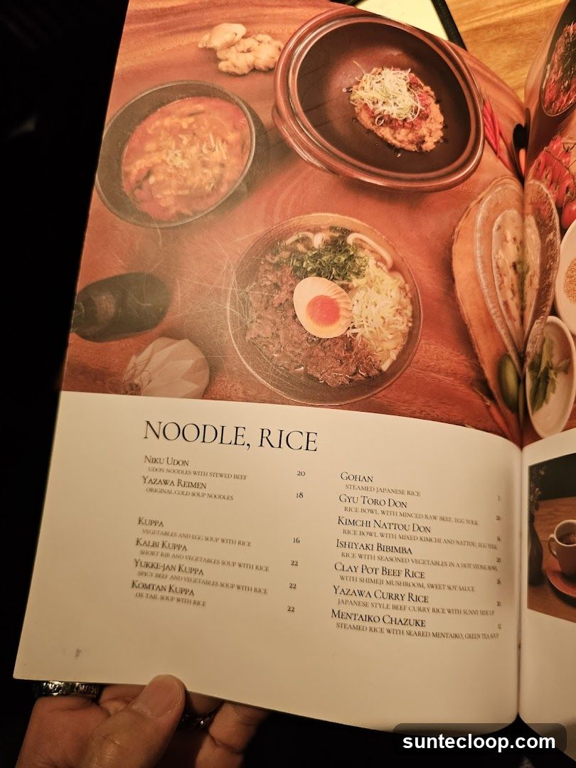 NOODLE, RICE