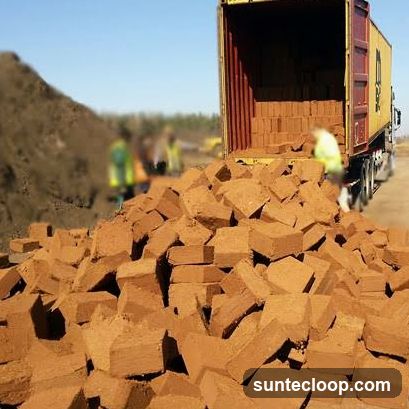 Unloading Bricks from Container