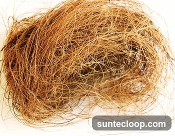Coconut fiber nest