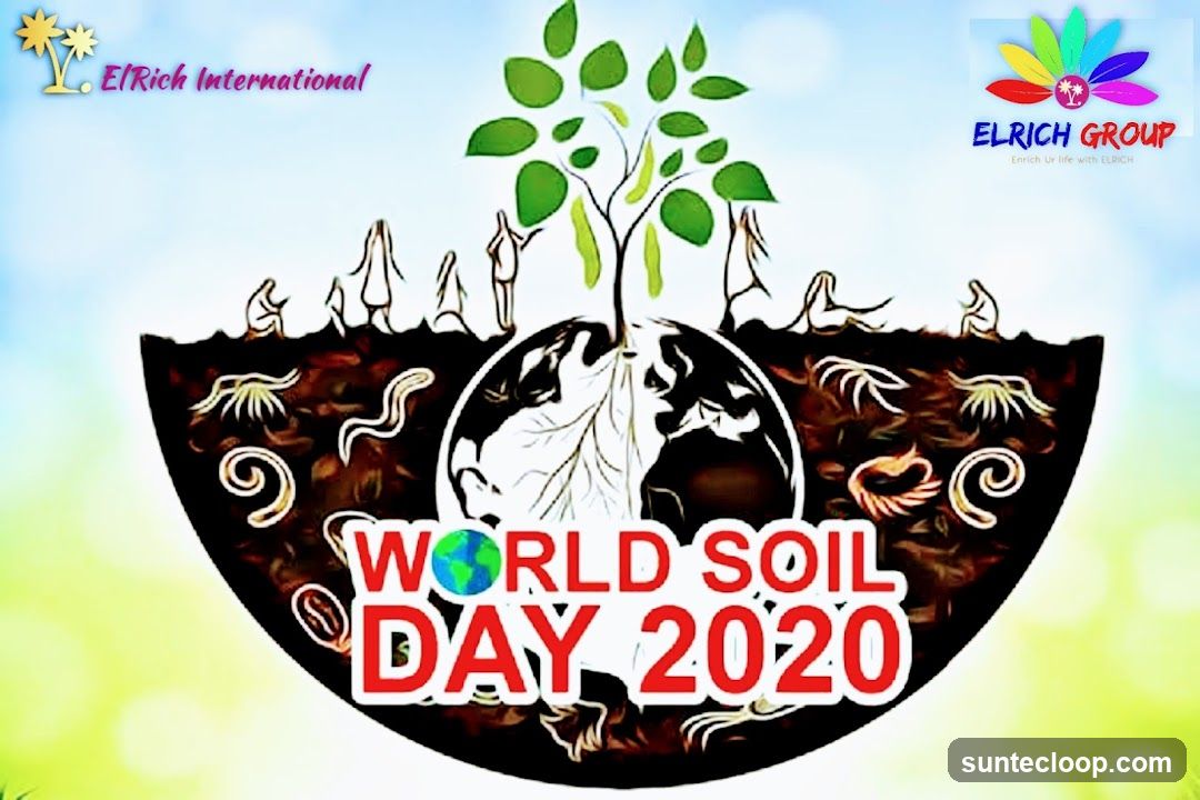 World Soil Day 2020