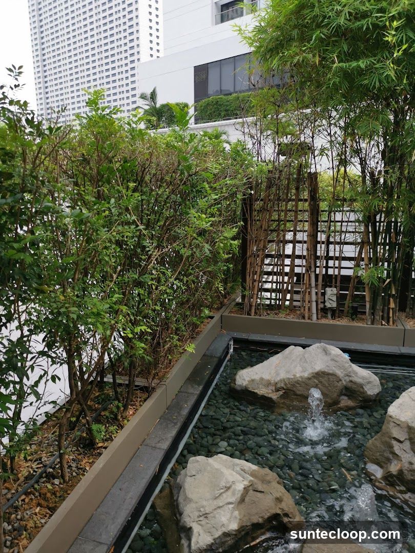 Zen Garden with Fountain