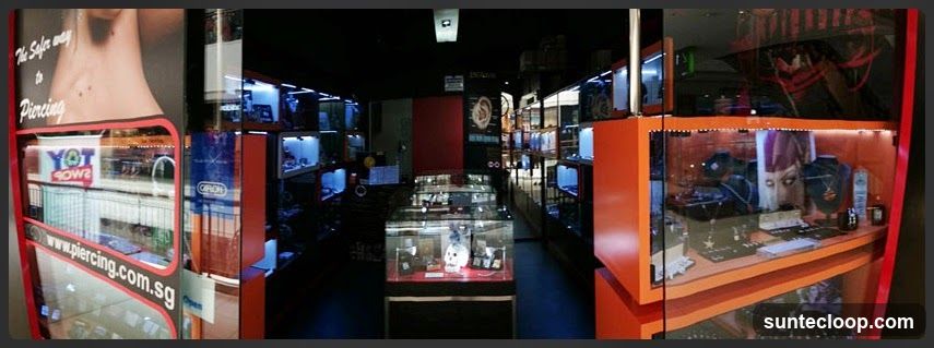 Stege Gallery