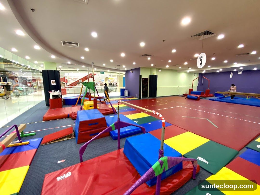 The Little Gym of Singapore East