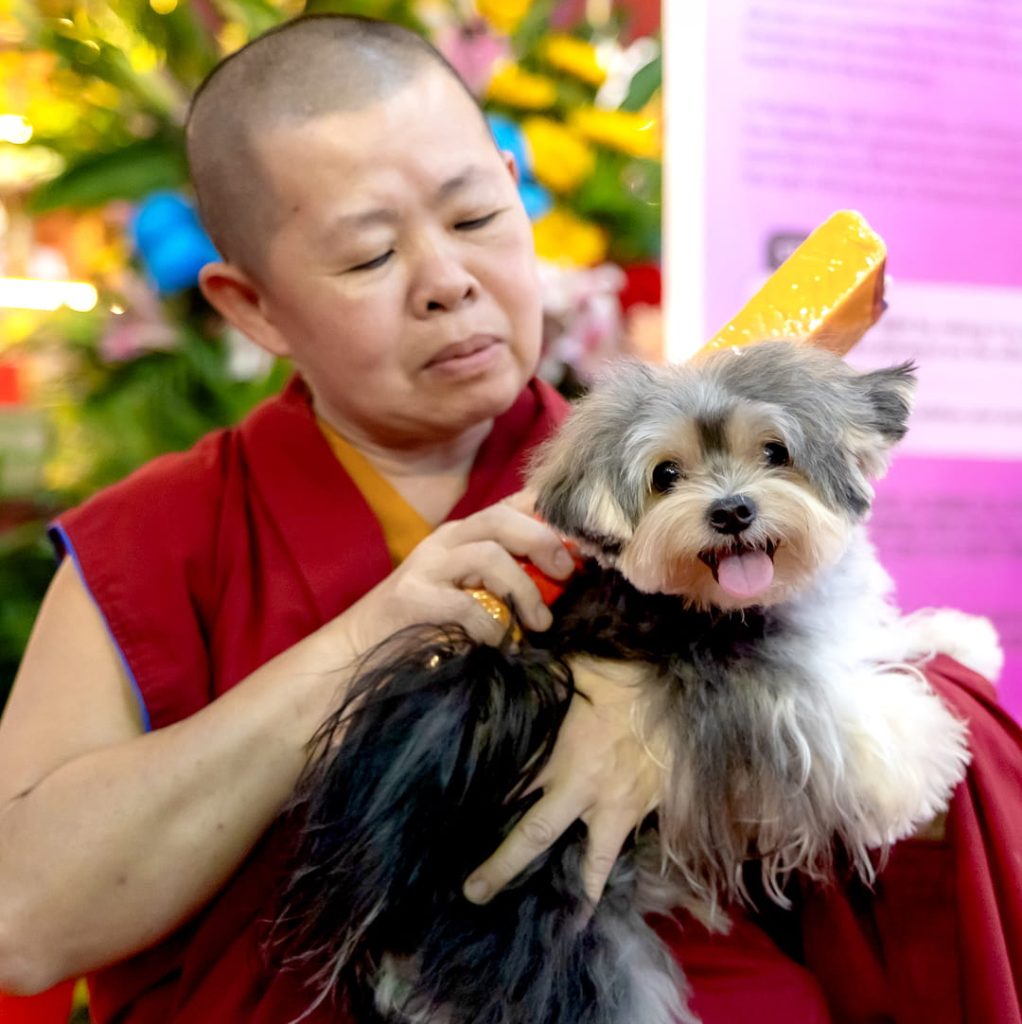 Pet blessing activity at Not Another Pet Fair in Singapore