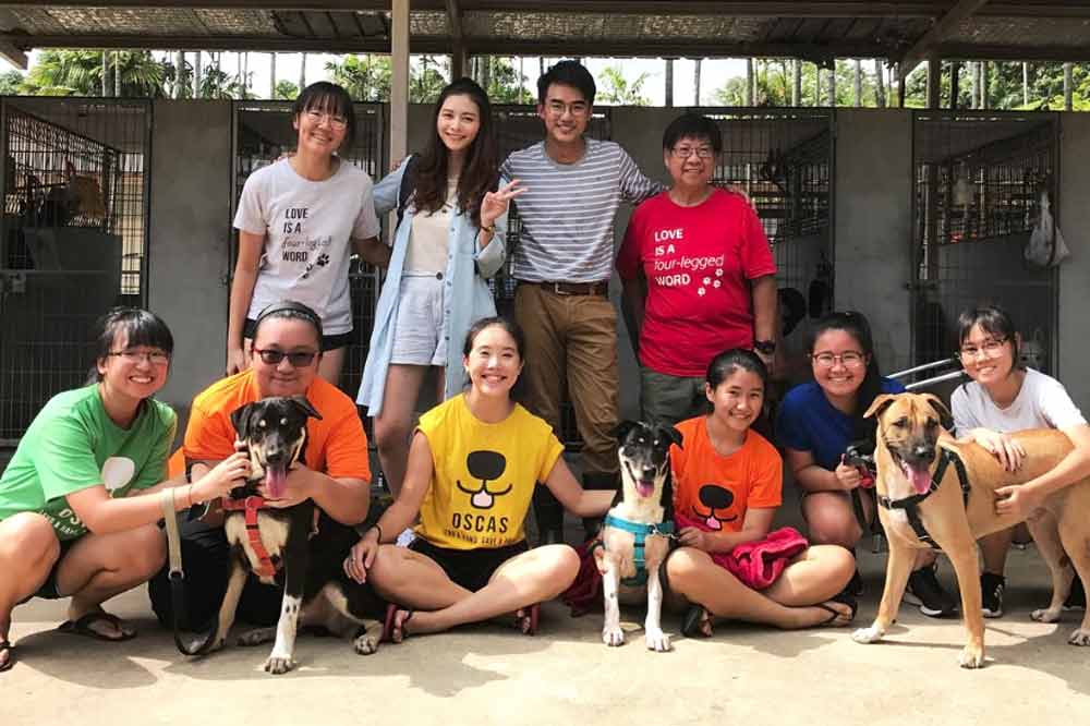 Pet adoption zone at Not Another Pet Fair Suntec